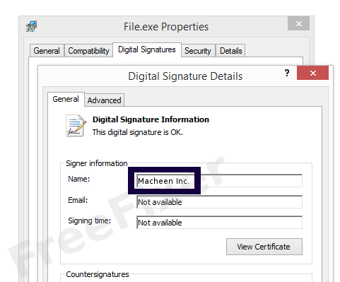 Screenshot of the Macheen Inc. certificate
